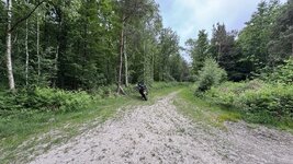 IMG_6433.jpeg