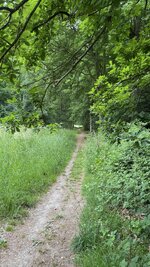 IMG_6440.jpeg