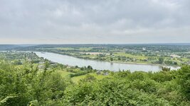 IMG_6435.jpeg