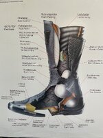 IMG_2404.jpeg