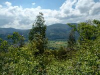IMG_20250523_111619809_HDR.jpg
