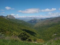 IMG_20250523_124340675.jpg
