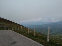 IMG_20250523_150608891.jpg