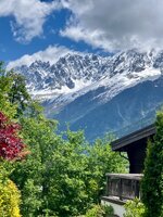 IMG_3526.jpeg