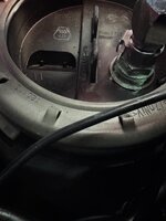 IMG_3875.jpeg