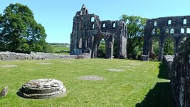 IMG_20250522_122836_624.jpg