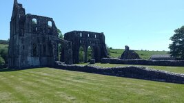 IMG_20250522_124620_542.jpg