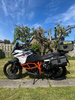 IMG_6354.jpeg