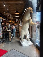 IMG_6776.jpeg