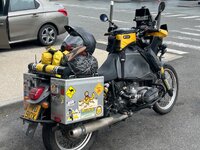 IMG_3263.jpeg