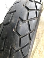 IMG_8510.jpeg