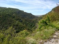 IMG_20250527_122638812_HDR.jpg