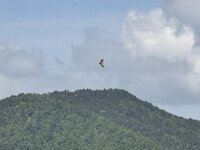 IMG_7638.jpeg IMG_7638.jpeg