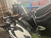 IMG_6946.jpeg