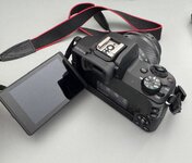 IMG_7901.jpeg