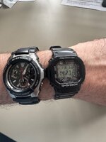 IMG_3727.jpeg