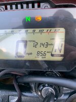 IMG_3465.jpeg