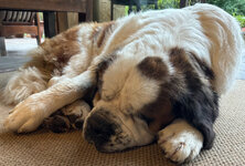 IMG_3457.jpeg