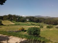 IMG_20250530_114347767.jpg