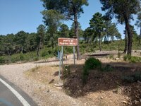 IMG_20250531_113326860_HDR.jpg