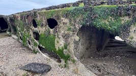 IMG_2697.jpeg