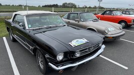 IMG_2703.jpeg