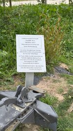 IMG_2707.jpeg