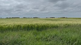 IMG_2723.jpeg