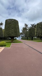 IMG_2750.jpeg
