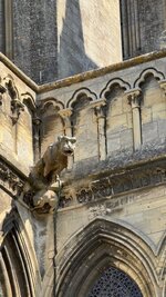 IMG_2823.jpeg