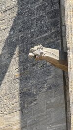 IMG_2831.jpeg