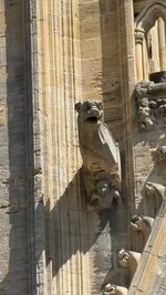 IMG_2832.jpeg