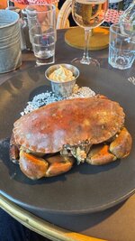 IMG_2890.jpeg