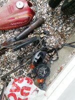 IMG_20250601_104854.jpg
