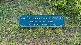 IMG_6592.jpeg