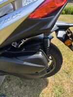 IMG_1028.jpeg