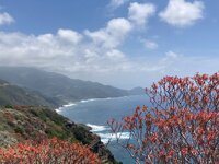 IMG_4227.jpeg