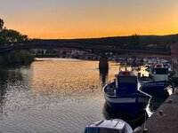 IMG_8887.jpeg