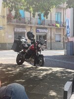 IMG_8893.jpeg IMG_8893.jpeg