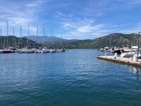 IMG_8915.jpeg IMG_8915.jpeg