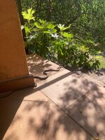 IMG_8920.jpeg IMG_8920.jpeg