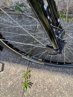 IMG_1036.jpeg