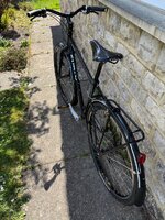 IMG_1043.jpeg