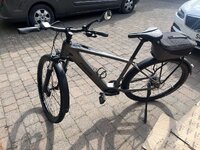 IMG_2979.jpeg