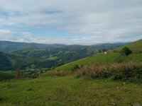 IMG_20250605_101203145.jpg