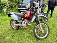 IMG_1620.jpeg