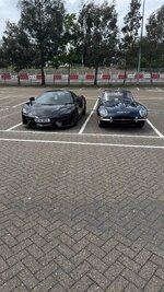 IMG_3079.jpeg