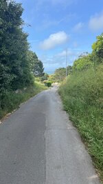 IMG_3100.jpeg