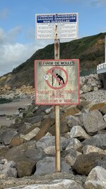 IMG_3102.jpeg