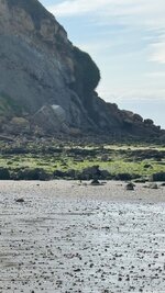 IMG_3104.jpeg